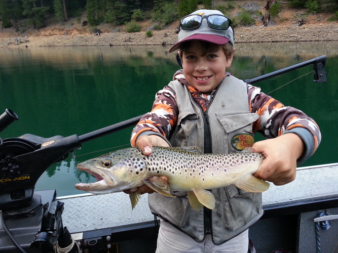 McCloud Reservoir Brown Trout