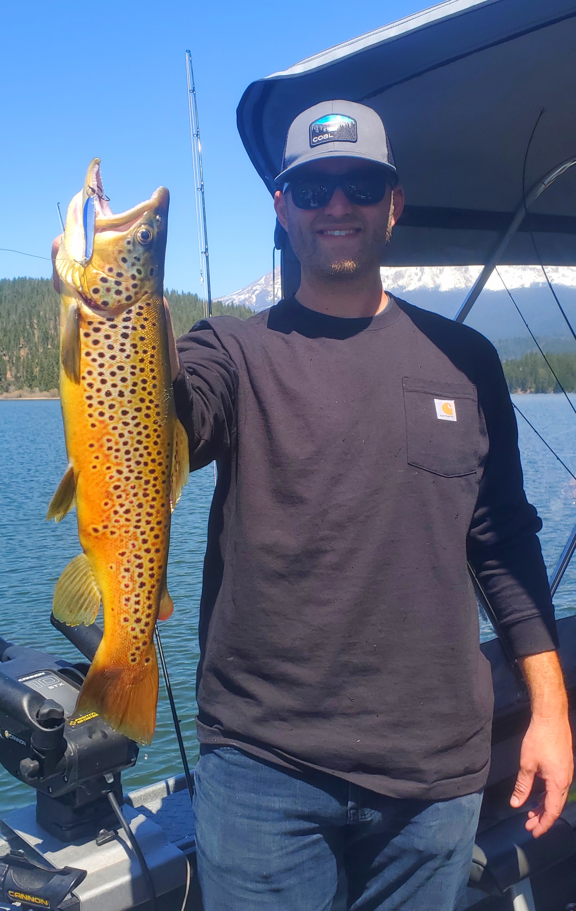 April 2021 Brown Trout 