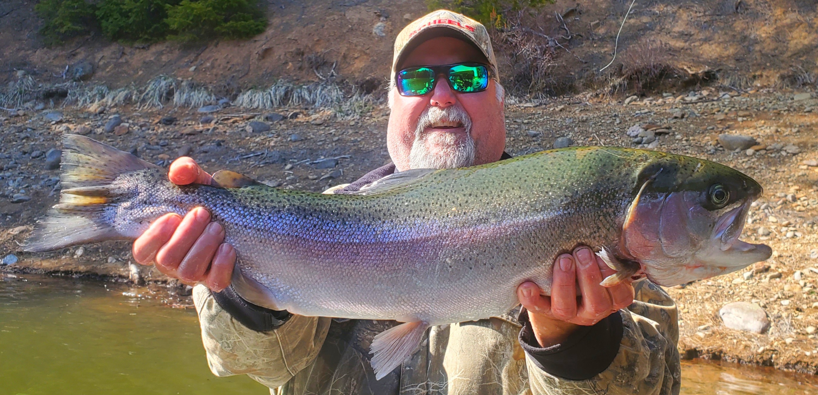 March 2021 Lake Siskiyou Rainbow Trout