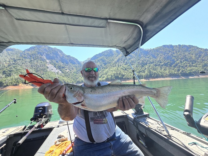 Shasta Lake 