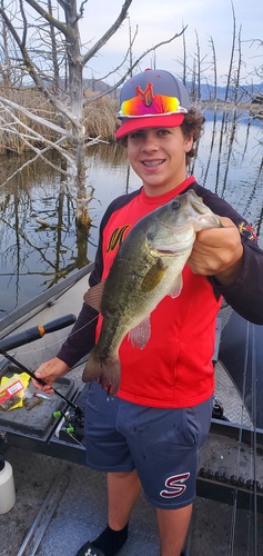 Shasta Valley Wildlife Refuge