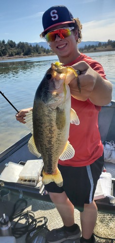 Shasta Valley Wildlife Refuge 