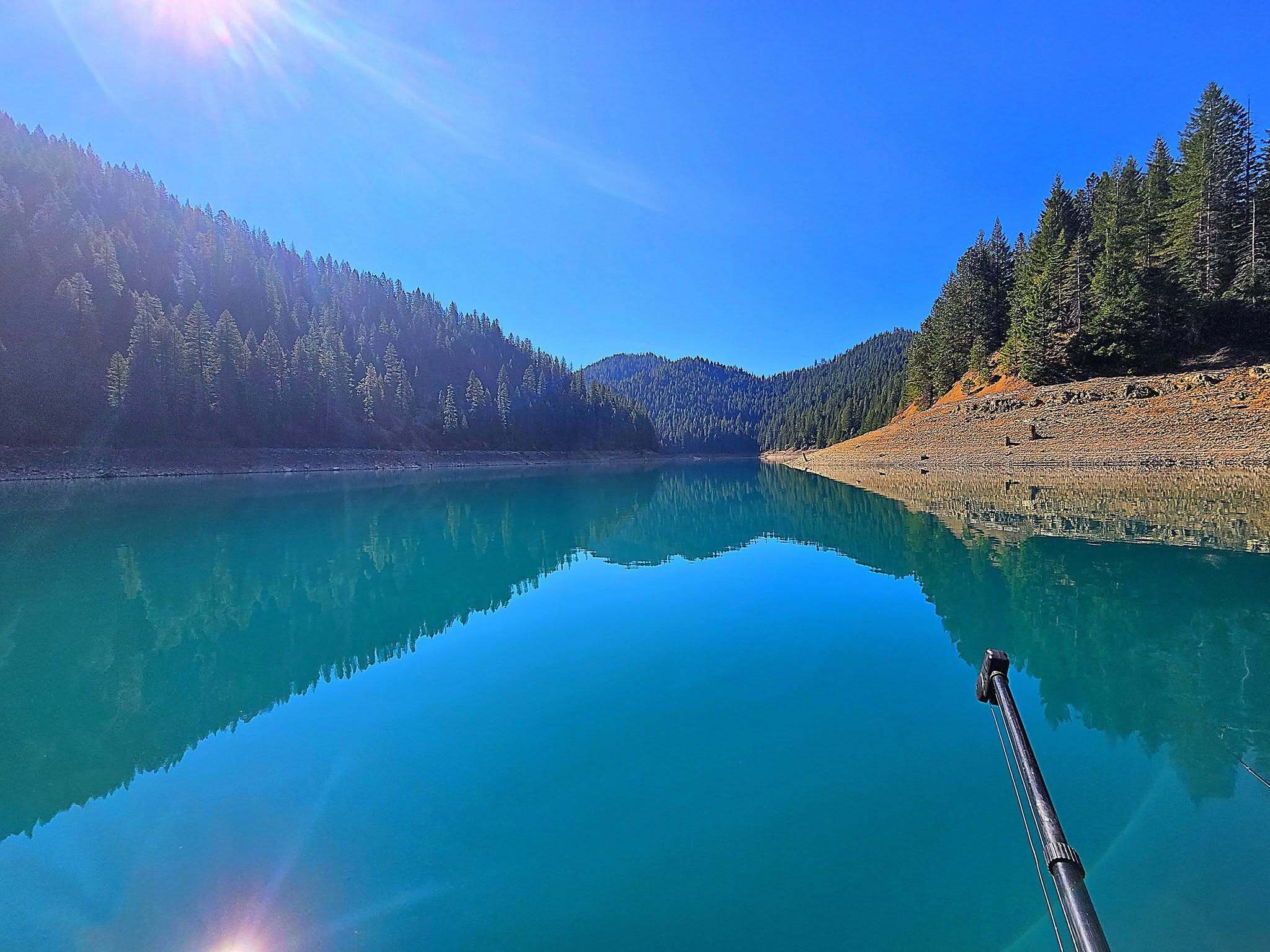 Clear turquoise water and forested shoreline on a calm day at Shasta Lake